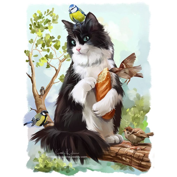 Set tranh đính đá 5D DIY họa tiết chú mèo nhiều kiểu tùy chọn đáng yêu kích thước 30x40cm dùng trang trí nhà cửa