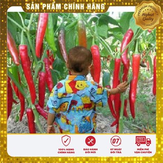 Hạt Giống Ớt Chỉ Thiên LUCKY SEEDS (0,2gr)
