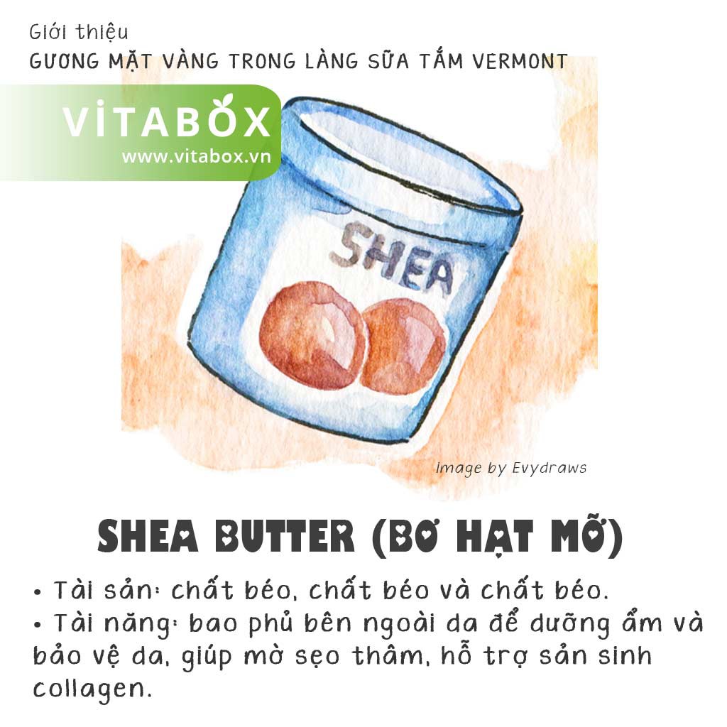 Vermont Soap - Sữa Tắm Hữu Cơ Dịu Nhẹ Cho Da Nhạy Cảm và Em Bé, Giúp Da Mềm Mịn - USDA Organic Body Wash | BigBuy360 - bigbuy360.vn