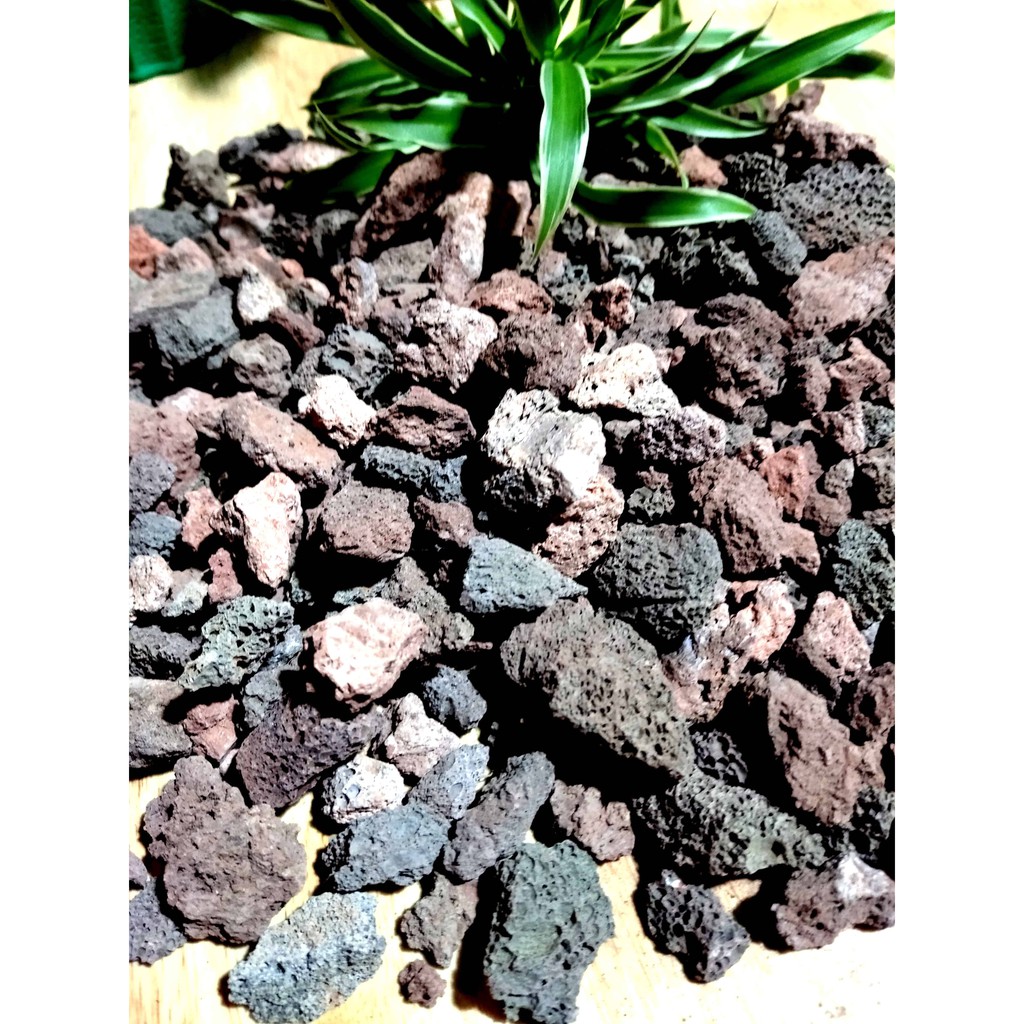 Đá núi lửa 1kg