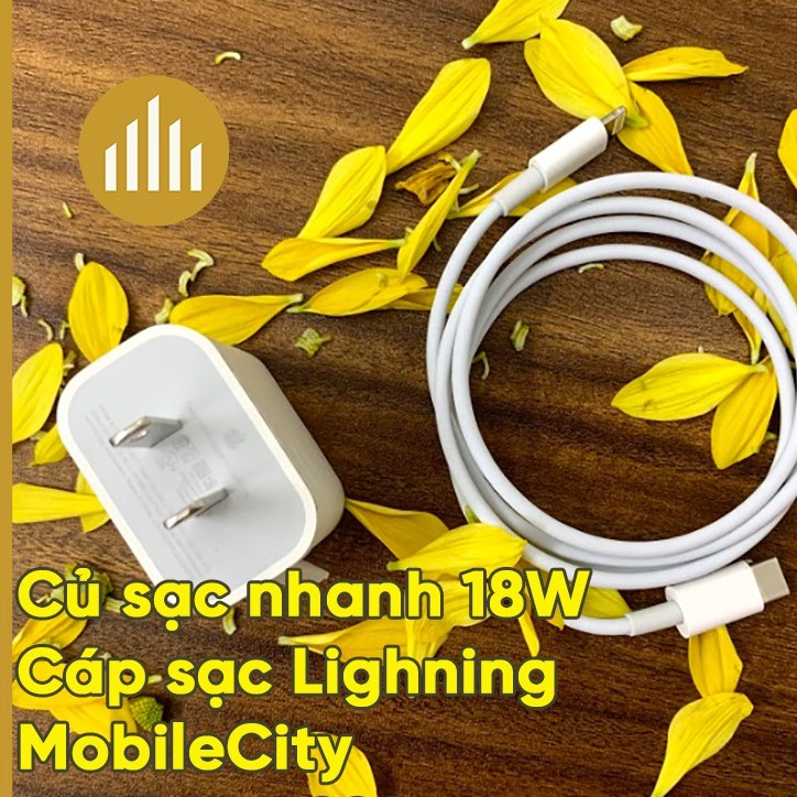 Cáp, củ sạc nhanh iPhone 18W, 20W ( iPhone 11 Pro Max, iPhone 12 Pro Max) Giá Rẻ