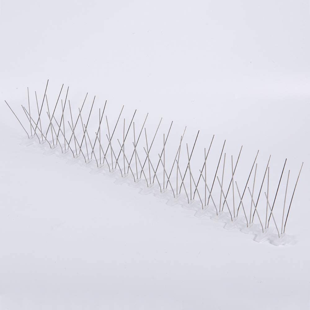 Set 10 Vỏ Bọc Hàng Rào Chắn Chim Bằng Thép Không Gỉ