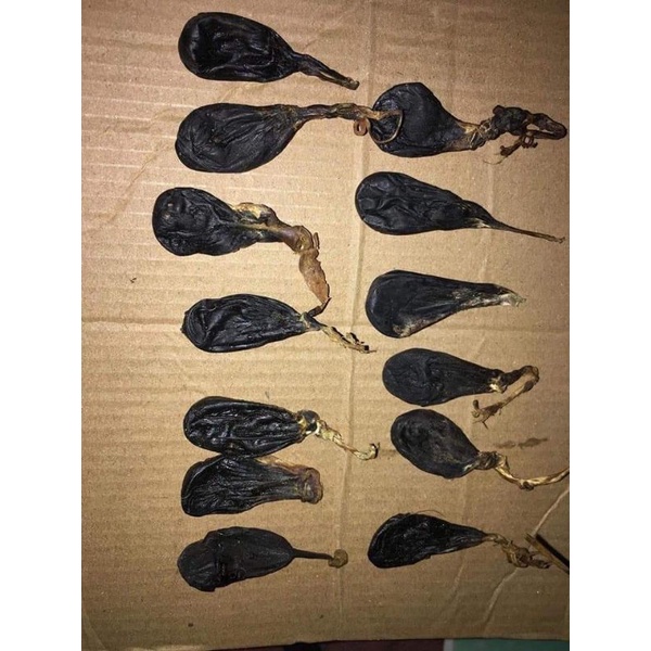 mật kỳ đà như hình