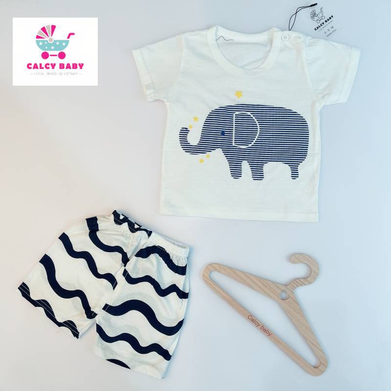 Đồ bộ bé trai, bé gái 0-20 tháng hình anime chất cotton Calcybaby020