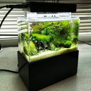 Bể cá siêu mini - Cunzo Mini Plastic Fish Tank