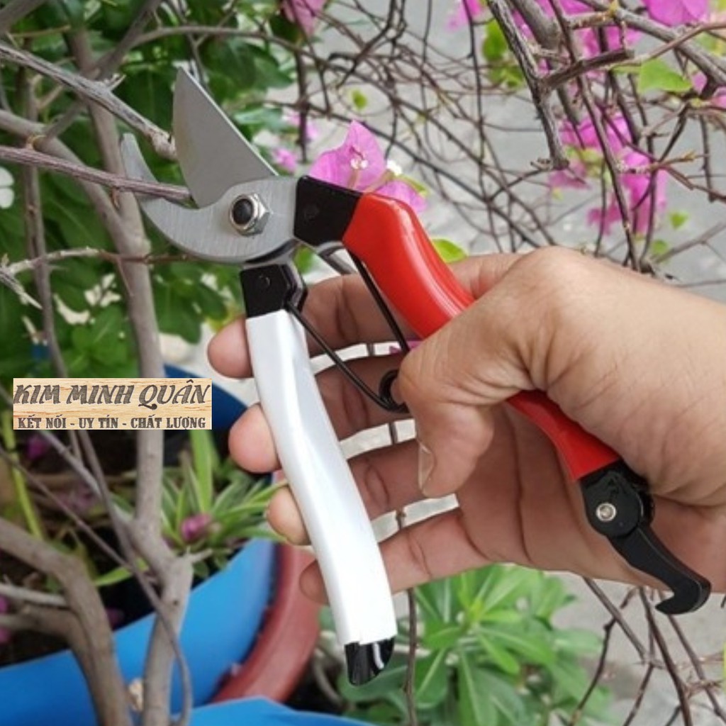 Kéo Cắt Cành A8 200mm Tiêu Chuẩn JAPAN BD017 BUDDY