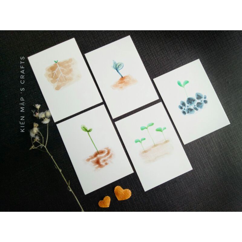 [5x8cm] SET Thiệp chủ đề cây mầm What type of tree would you be? Trang trí phụ kiện chụp ảnh Quà tặng Vintage Dễ thương