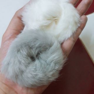 CỘT TÓC KẸP TÓC NHIỀU MẪU ĐỒNG GIÁ 15K (inbox mẫu)