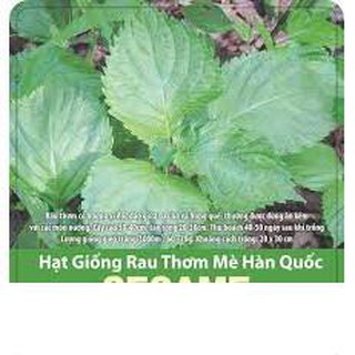 Hạt giống rau thơm mè hàn quốc