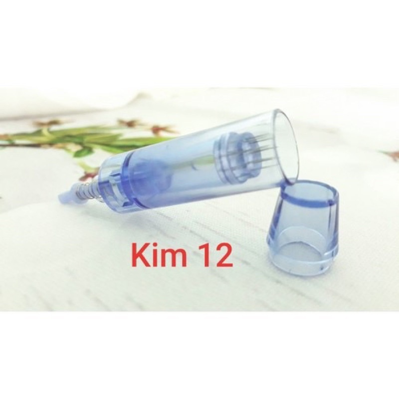 Kim Nano - 12 - 36 dùng cho máy phi kim, lăn kim dr Pen cấy trắng