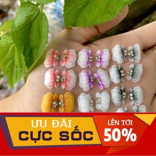 hoa cúc tròn- hoa bột nail