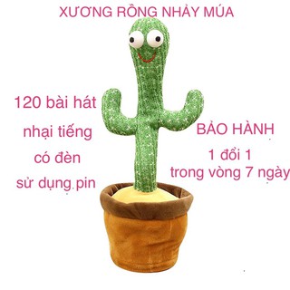 Xương rồng nhảy múa 120 bài🔥 nhại tiếng, có đèn💥 chạy pin