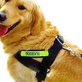 Dây dắt chó sơi dù loại yếm #police-dog