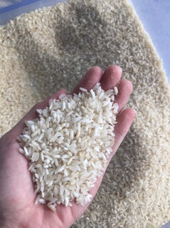 Gạo Séng Cù 1kg