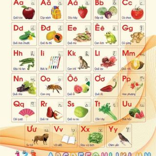Combo tranh nhận biết hình ảnh và đồ chơi