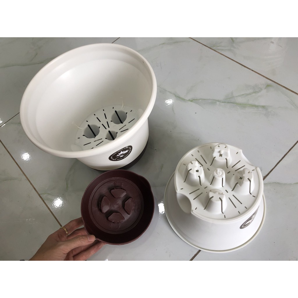 Chậu nhựa hai đáy thông minh
