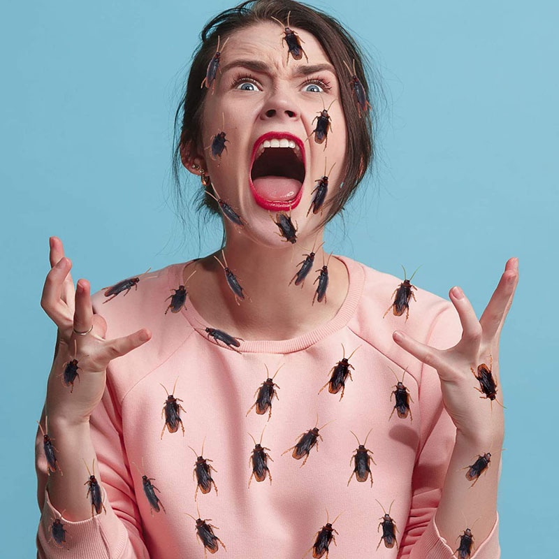 10 Con Gián Giả Bằng Cao Su