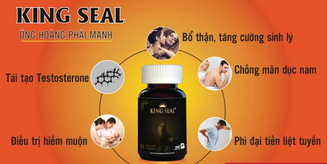 King Seal BNC - Bản lĩnh phái mạnh