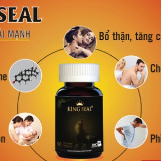 King Seal BNC - Bản lĩnh phái mạnh
