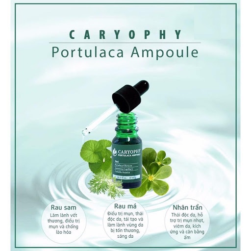 Tinh chất giảm mụn Caryophy Portulaca Ampoule 30ml