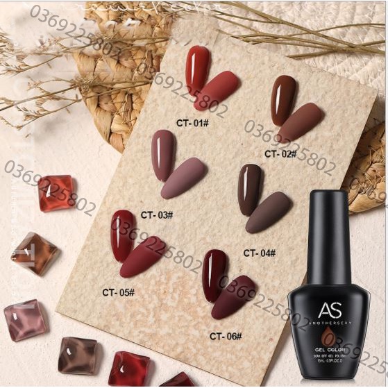 Sơn Gel AS set nâu Caramen mã CT