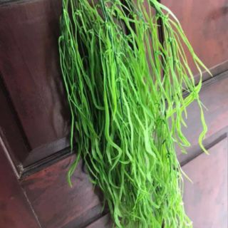 combo 6 mai mỹ + dây thừng
