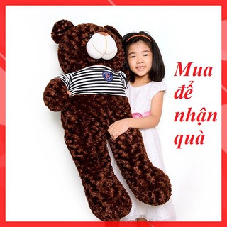 Gấu Bông Teddy 1M ⚡ FREESHIP ⚡ Gấu Bông Teddy Cao Cấp