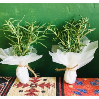 Combo Mua 4 Nhận 5 gói Hương Thảo(5 cành 8-10cm) - Khô/Tươi - Organic - Pha trà/Nấu ăn