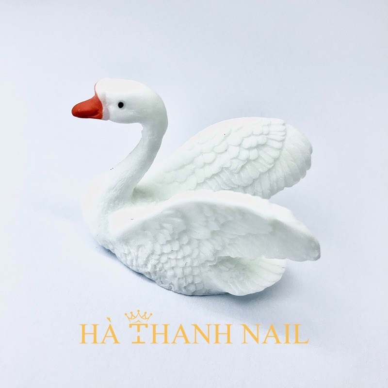 Đế Mẫu Trưng Móng Thiên Nga [ Hạc Trắng ]