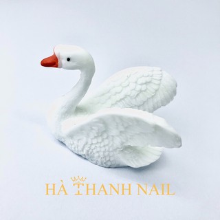 Đế Mẫu Trưng Móng Thiên Nga [ Hạc Trắng ]