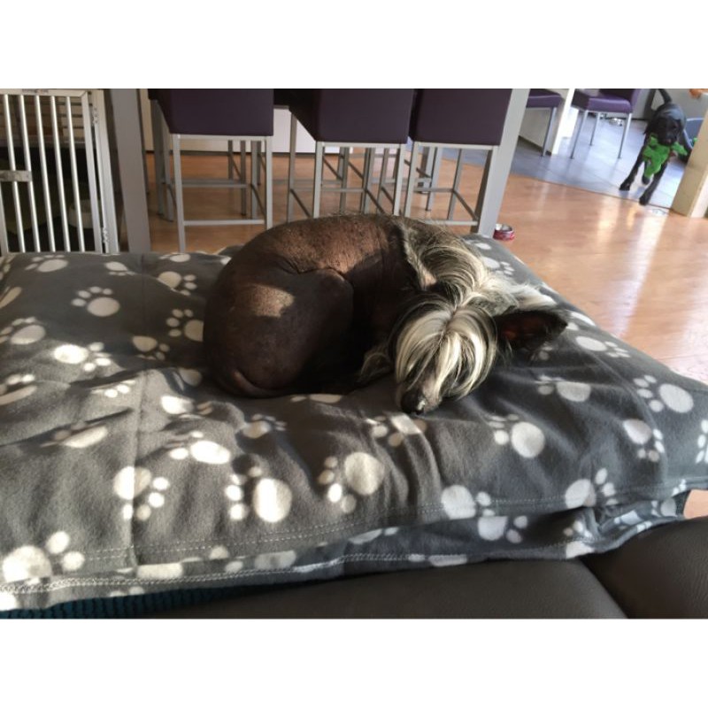 Pawty Chăn lông cừu cao cấp cho chó mèo/thú cưng