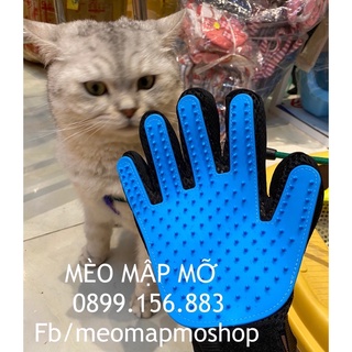 Găng tay chải lông cho chó mèo
