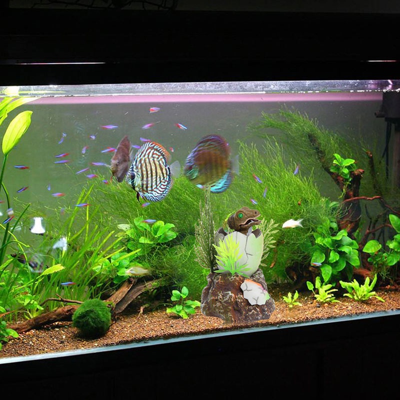 Khủng Long Bơm Khí Oxy Trang Trí Bể Cá