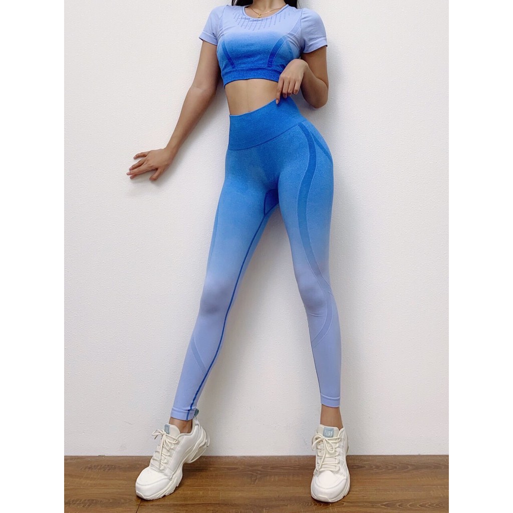 Đồ tập gym nữ, set bộ dệt kim ombre áo crop kèm mút quần dài cao cấp Bin Sports BD049