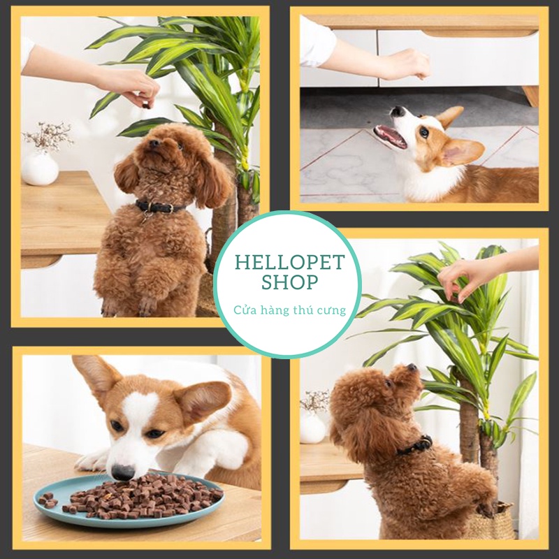 Bánh thưởng cho chó mèo HELLOPET vị thịt bò nguyên chất 100gr H61