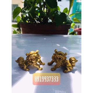 Cặp sư tử đồng nhí