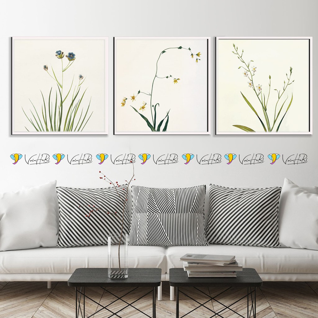 Tranh canvas treo tường - bộ 3 tranh cây cỏ 02