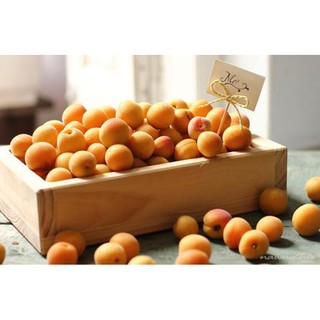 Nước Chiết Xuất Mơ 1025KG