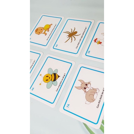 BỘ THẺ PHÁT TRIỂN NGÔN NGỮ - GIAO TIẾP - ĐẶT VÀ TRẢ LỜI CÁC CÂU HỎI BÉ HAY HỎI NHẤT (dành cho bé từ 1 tuổi - 7 tuổi)