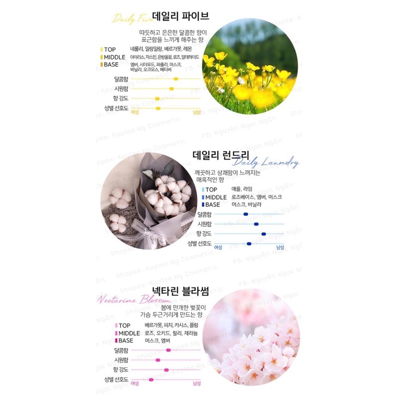 TINH CHẤT NƯỚC HOA THƠM PHÒNG DAILY COMMA