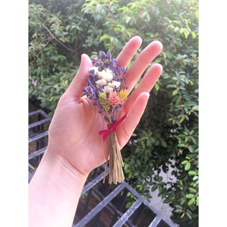 Lọ nụ hoa Lavender Pháp  trang trí (như hình)