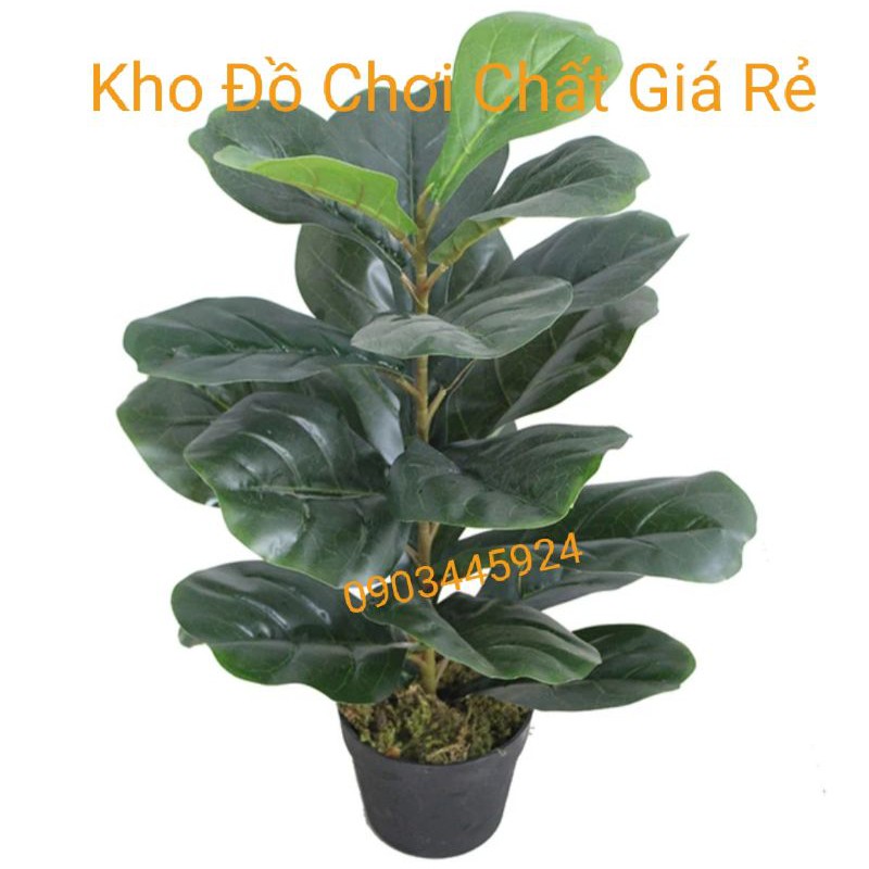 Cây bàng 1 nhánh lá bóng cao 58cm-Cây giả