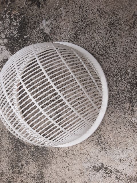 Rổ lọc cá giống số 11 - mẫu 160 con /1 kg