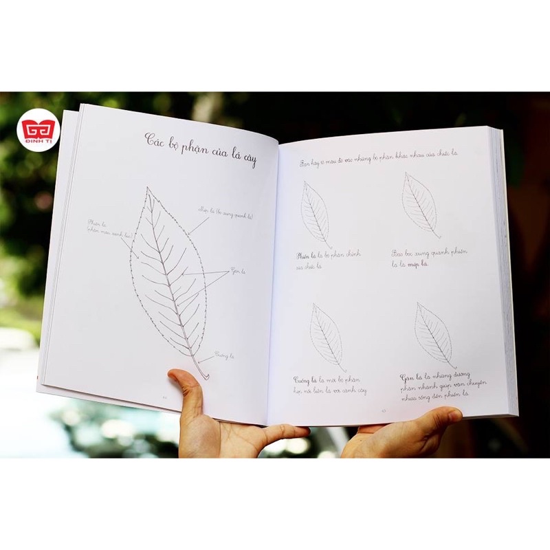 Sách-Set Thực hành Montessori tại nhà (2 cuốn)