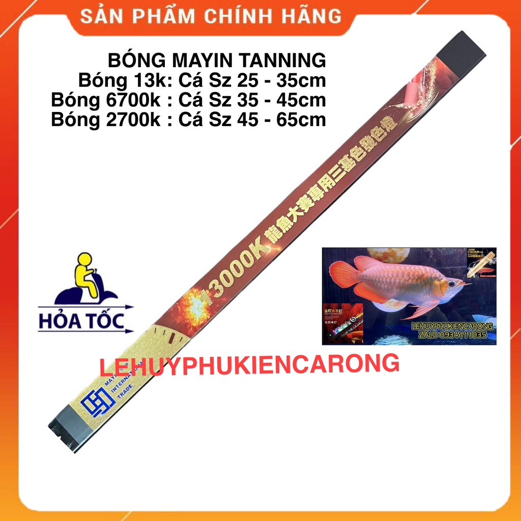Đèn Bể Cá Chuyên Dụng Tanning Cho Cá Rồng Huyết Long Và Bối Vàng Bóng T5 13000k, 6700k, 2700k Thương Hiệu MAYIN