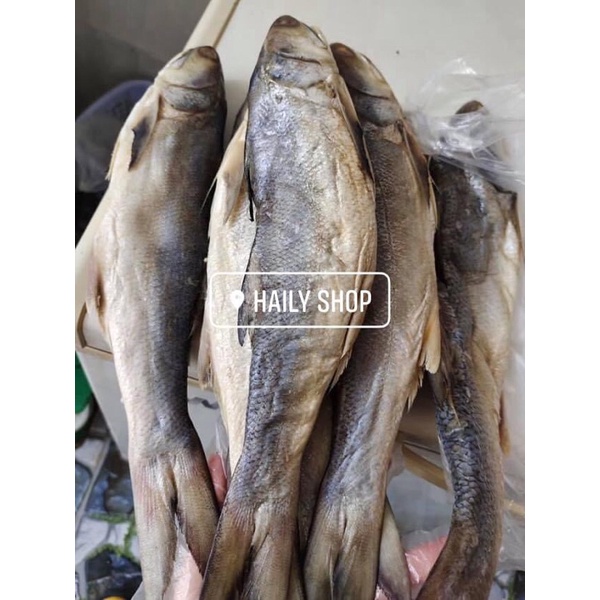 CÁ CHÉT ĐẶC SẢN CÀ MAU 3CON/1KG