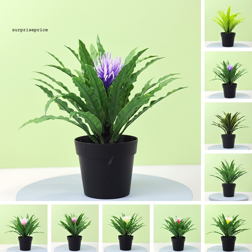 Chậu Cây Bonsai Giả Bằng Nhựa Màu Sắc Tươi Sáng Dùng Trang Trí Bàn Làm Việc