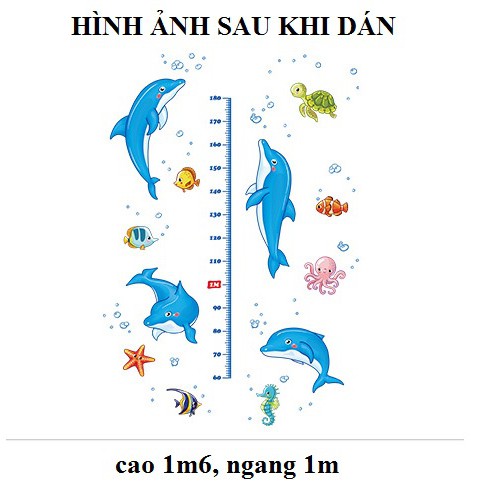 Decal dán tường Thước đo chiều cao cá heo