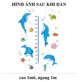 Decal dán tường Thước đo chiều cao cá heo