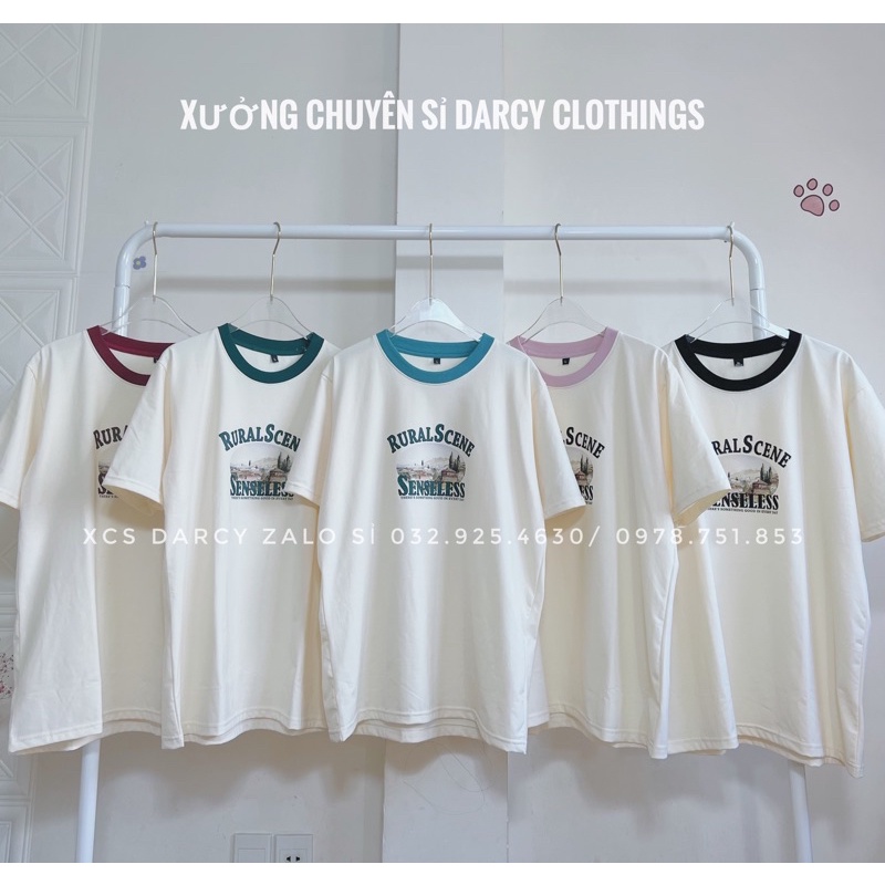 áo thun phối cổ màu ✨ FREESHIP ✨ áo thun cotton 4 chiều RURAL SCENE